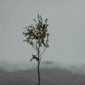 边喂奶边被C一个小时
